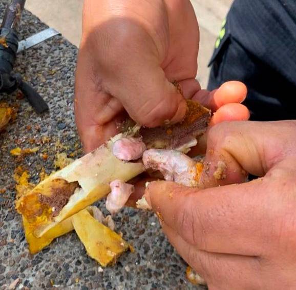 Sí hay presa mala: una mujer intentó ingresar droga camuflada en presas de pollo a la cárcel de Andes