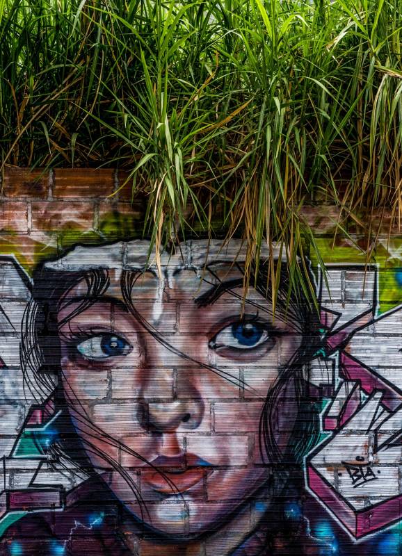 Las pinturas muestran las habilidades que tienen algunos artista de transformar el paisaje urbano con una serie de divertidos personajes.Fotos Julio César Herrera