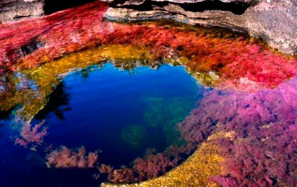 Caño Cristales estará abierto al público de 7 de la mañana a 4 de la tarde. FOTO Colprensa