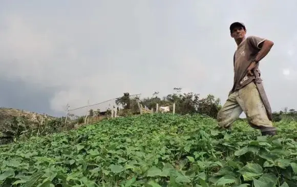 La decisión genera polémica porque expertos advierten que podría debilitar lo pactado en el Acuerdo de Paz y poner en riesgo la propiedad privada y pública. FOTO: CORTESÍA ANT