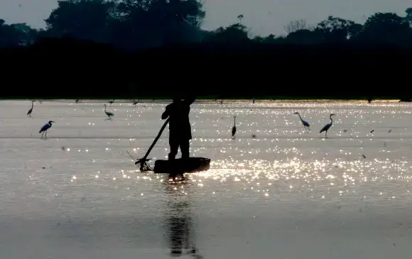 Los humedales, clave en la adaptación al cambio climático y la seguridad hídrica, son una de las prioridades locales que Colombia busca fortalecer en su nueva NDC. FOTO archivo EL COLOMBIANO