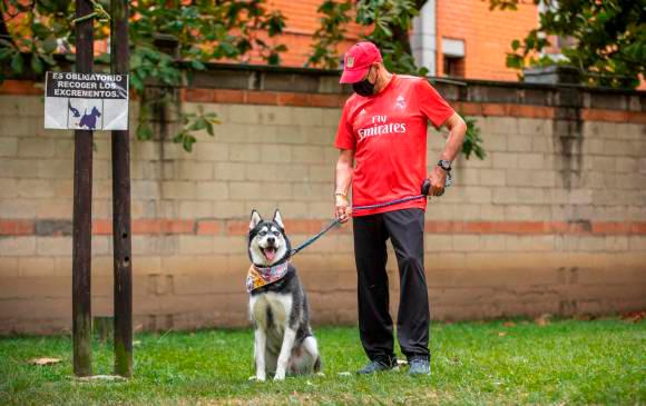 ¡Ojo! Nuevos requisitos para ingreso y salida de perros y gatos a Colombia