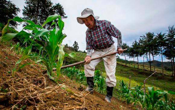 La iniciativa busca resolver los conflictos sobre propiedad, uso y tenencia de la tierra. FOTO: JAIME PÉREZ