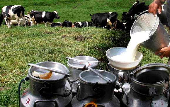 A nivel nacional el gasto en lácteos cayó 7,23%. FOTO: JUAN ANTONIO SÁNCHEZ