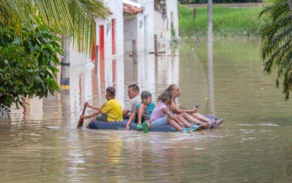En Puerto Nare hubo afectación de cultivos y pérdida de animales. FOTO: ARCHIVO.