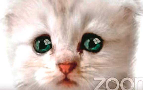 De este filtro de gato se hicieron varios memes en la red, como este, “No soy un gato”.