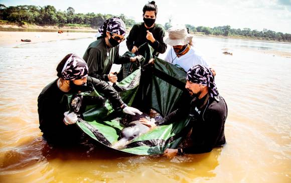 Equipo de la Fundación Omacha y WWF Colombia durante el muestreo realizado a los delfines de río. FOTO CAMILO DÍAZ