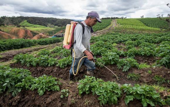 Monómeros hace fertilizantes para la mitad de la producción agrícola colombiana, y cuenta con 1.400 empleados. FOTO Jaime Pérez