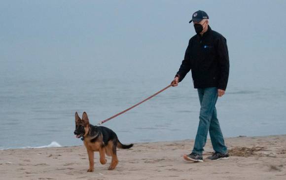 Brownie, Dylan y Comandante: boom de perros de los presidentes
