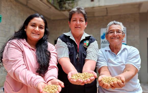 Yuberley Cañaveral, Rosalba Domínguez y Nelly Villada trabajan en Café Montebravo. FOTO Cortesía URT
