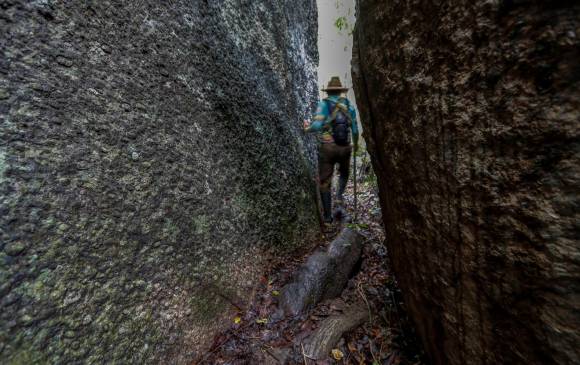 En los afloramientos rocosos la vegetación arbórea es escasa, crean condiciones de temperaturas extremas. Foto: Manuel Saldarriaga Quintero.