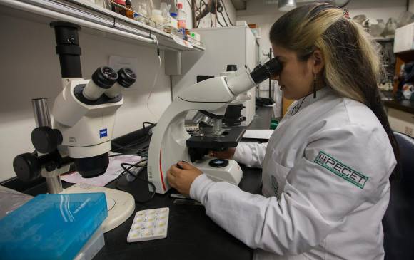 La leishmaniasis está catalogada por la Organización Mundial de la Salud como una patología desatendida u olvidada. FOTO DONALDO ZULUAGA.