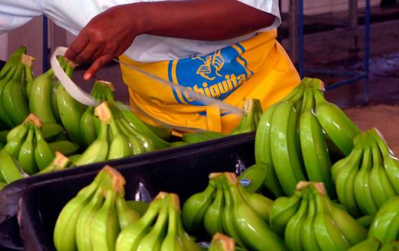 La empresa bananera Chiquita Brands, con sus filiales en Colombia, habría financiado durante ocho años a grupos paramilitares con fuerte presencia en Antioquia y Córdoba. FOTO Colprensa