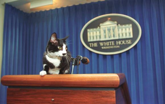 Socks Clinton en la sala de prensa de la Casa Blanca. FOTO: Getty.