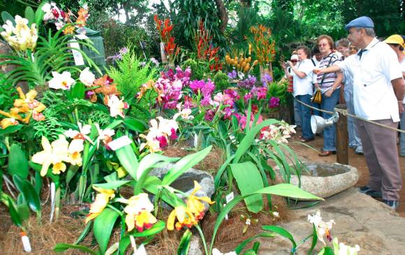La Feria de las Flores de este año se hará entre el 12 y el 22 de agosto. Foto: Juan Antonio Sánchez Ocampo