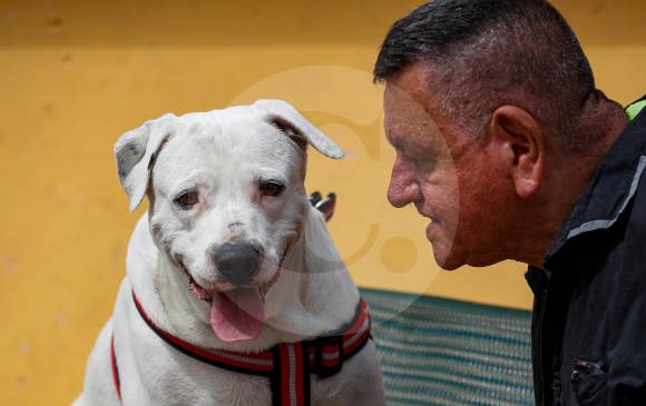 Sin ser de su propiedad, Jaime hizo una correría de 5 días para buscar al perro Beethoven, al que finalmente halló en Tuluá, Valle. FOTO manuel saldarriaga