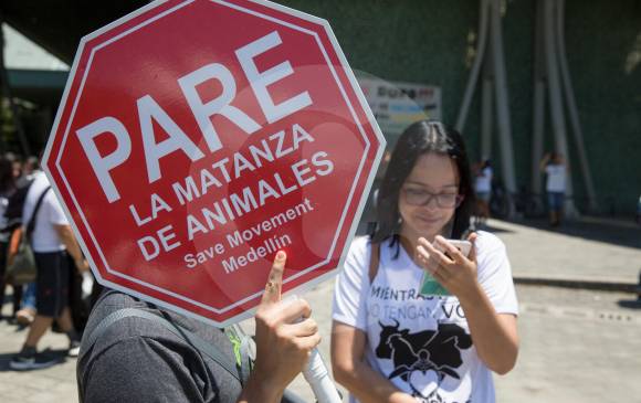 El fiscal Barbosa dijo que la protección a la dignidad animal es clave para reducir maltrato. Activistas defienen la medida. FOTO Edwin Bustamante