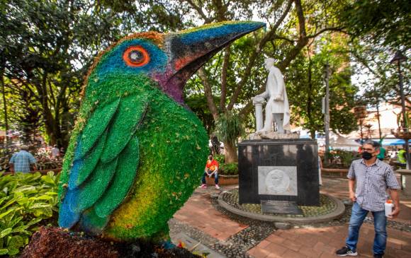 La exposición Esculturas de Flores se puede ver en el centro de la ciudad. FOTO Carlos Velásquez