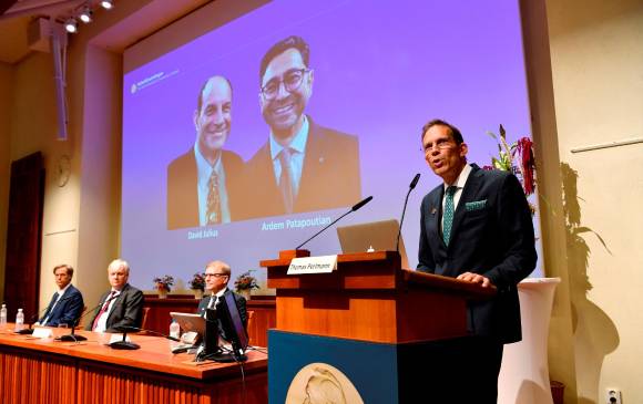 Este fue el momento cuando anunciaron a los ganadores en Estocolmo (Suecia).Foto: EFE.
