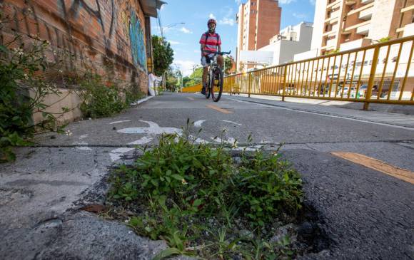 Tanto tiempo tiene este cráter en el pavimento, que la vegetación creció en su interior, dificultando el tránsito de los ciclistas en este corredor de la carrera 65 con la calle 33. FOTO Edwin Bustamante