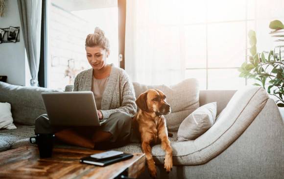Los animales de compañía se convirtieron en parte fundamental para muchas personas y familias. FOTO Shutterstock