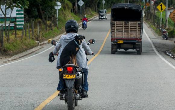 Educar a peatones, motociclistas y ciclistas sobre las normas de tránsito y la seguridad vial será una de las tareas de los uniformados. FOTO JULIO CÉSAR HERRERA