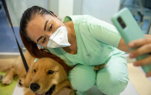 La fundación Huellas Sanadoras cuenta con 6 perros entrenados y seis más en proceso. Foto: Carlos Velásquez