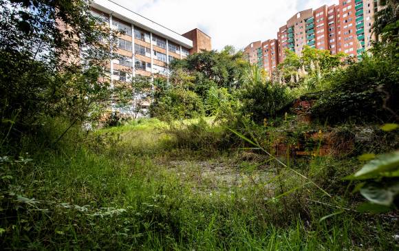 El lote de 1.764 metros cuadrados que dejó el edificio Bernavento está rodeado por seis unidades. FOTO Jaime Pérez.