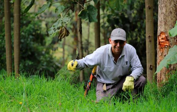 La ciudad cuenta con 33 guardabosques que protegen 14 reservas custodiadas. FOTO CORTESÍA ALCALDÍA DE MEDELLÍN