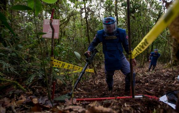 La meta del Gobierno Nacional es alcanzar 180 municipios libres de sospecha de minas antipersonal en 2021. FOTO: JULIO HERRERA