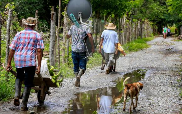 Onu Revela última Cifra De Campesinos E Indígenas Desplazados