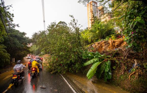 El Cuerpo de Bomberos de Medellín registró 30 desplomes de árboles en la ciudad. Imagen en la Av. Las Palmas. FOTO CARLOS VELÁSQUEZ
