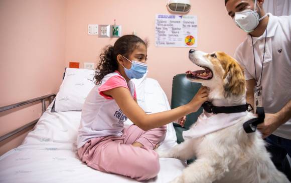 Cada binomio recibe entrenamiento práctico y asiste a clases para prepararse y luego pasar una certificación con una fundación independiente antes de poder asistir a los hospitales. Foto: Carlos Velásquez
