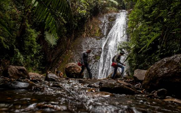 El Manual Ilustrado para Guías de Naturaleza es una herramienta para fortalecer las habilidades de interpretación del patrimonio biológico colombiano. FOTO Esteban Vanegas