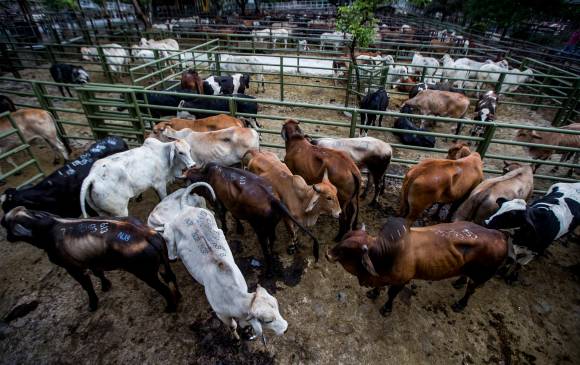 Los alimentos como la carne de res, las papas, el pollo y los alimentos perecederos presionaron al alza la inflación en abril. FOTO Julio César Herrera