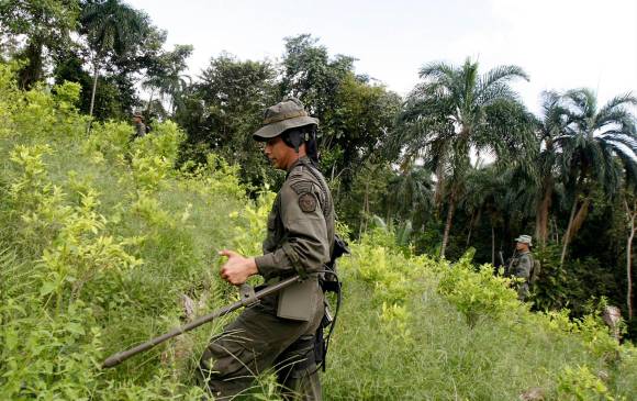 El Gobierno de Estados Unidos le apuesta a una política de drogas que no afecte los derechos humanos de las comunidades afectadas por el narcotráfico. Colombia está en sus planes, por lo que la política de erradicación entraría a revisión. FOTO Archivo Colprensa