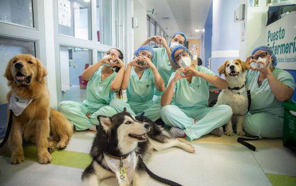 El personal de la salud aprovecho la presencia de los caninos para romper un poco la rutina, acariciarlos y tomarse fotos con ellos. Foto: Carlos Velásquez