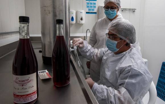 El vino de mora que pone a Santa Elena en paladares del mundo