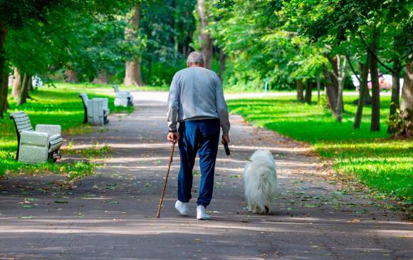 El estudio concluyó que tener un perro protege contra la aparición de la discapacidad en los adultos mayores. FOTO sstock