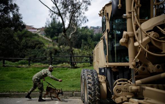 Los perros son entrenados para detectar explosivos escondidos en vehículos y carreteras. FOTO: Colprensa
