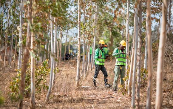 El proyecto tiene una inversión inicial de 200 millones de dólares. FOTO COLPRENSA