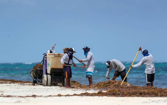En Colombia ya hay organizaciones dedicadas a limpiar playas y el fondo del mar y aunque no hay rentabilidad sí posiciona la marca en estas tareas. FOTO getty
