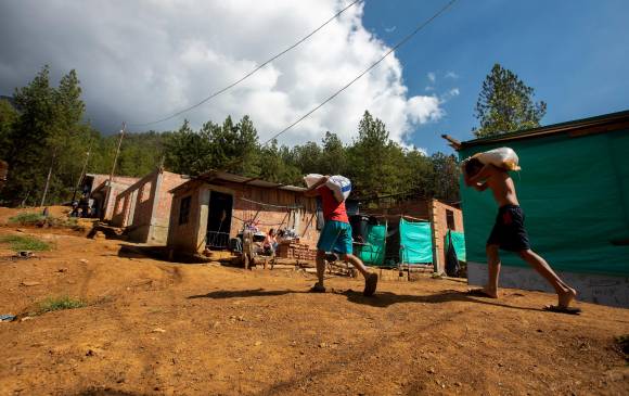 Ciudad Perdida es uno de los asentamientos irregulares más nuevos del Cerro Quitasol. La urbanización está prohibida en las áreas de protección. Foto: Andrés Camilo Suárez, 