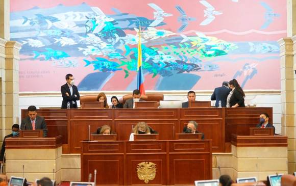 El Congreso, junto con el Gobierno, tienen la que establecer las políticas necesarias para el aborto.
