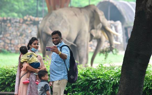 La gente visita el zoológico de Delhi el primer día de su reapertura. FOTO: GETTY