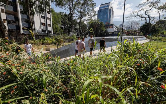 La maraña crecida también se apoderó del recién estrenado parque Inflexión en El Poblado. FOTO Manuel saldarriaga