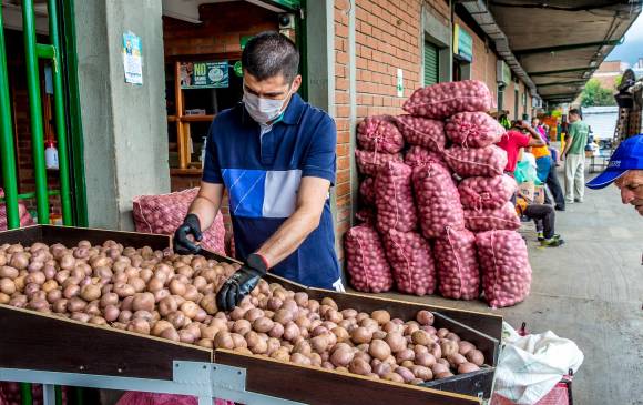 El precio de la papa bajó de 4.800, el jueves, a 2.000, ayer, lo que genera tranquilidad. Las autoridades, sin embargo, dicen que ante un bloqueo de vías es imposible garantizar la estabilidad de los precios de la canasta familiar. FOTO Juan Antonio Sánchez. 