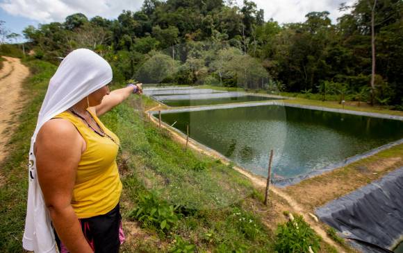 Lilia Tavera, alias ‘Adriana’ (foto), es una de las excombatientes que trabaja en el proyecto.