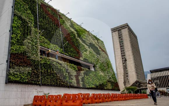 Con los muros vegetales se pretende mejorar el paisaje urbano, contribuir al cuidado del medio ambiente y brindar espacios públicos coloridos. FOTO Juan Antonio sánchez