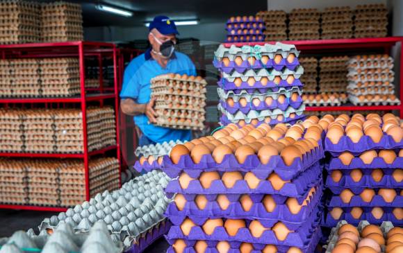 Según los análisis de mercado realizados por la Central Mayorista de Antioquia, el precio del huevo ha tenido incrementos entre el 13 y el 43 % durante las últimas semanas. FOTO Juan Antonio Sánchez